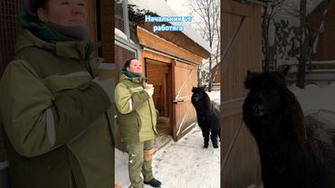 А у вас какое доброе утро ?😃 #life #fannyvideo #влог #зоо #зоопарк