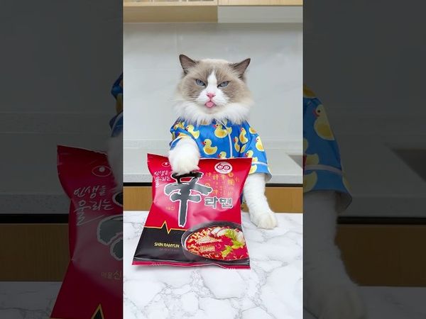 How to remake your ramen? #thatlittlepuff #shinramen