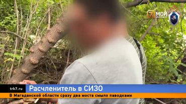 Красноярца, развозившего в маршрутках человеческие части тела, отправили в СИЗО