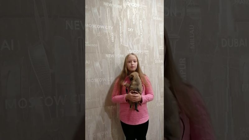 Серкина Полина 11 лет с. Гагарино