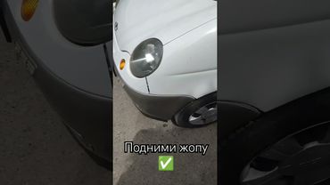 подними жопу