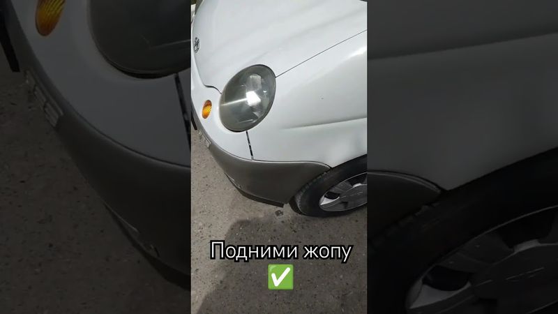 подними жопу