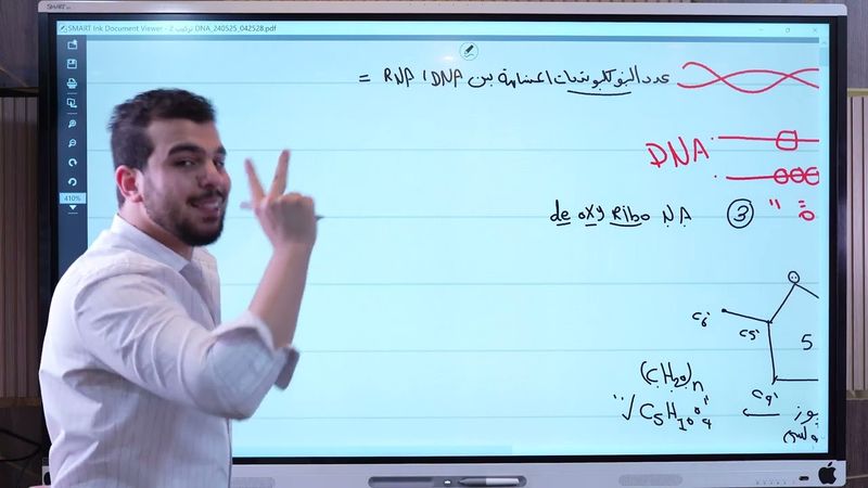 كبسولة تركيب الDNA حتي التضاعف