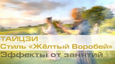 Эффекты от занятий Тай-Цзи, стиль Сергея Рубцов «Жёлтый Воробей» / Катерина Полякова