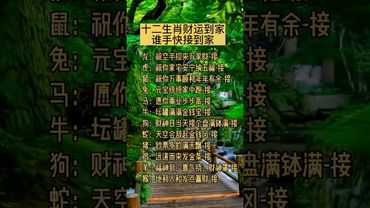 十二生肖財運到家！誰手快接道家！#十二生肖 #國學智慧 #生肖文化 #傳統文化 #接福接財接好運 #運勢 #正能量 #生肖 #玄學 #命理 #風水