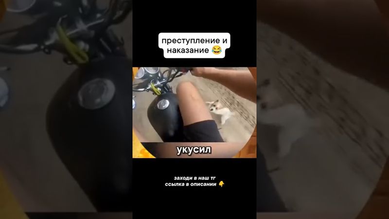 ПРЕСТУПЛЕНИЕ И НАКОЗАНИЕ 🤣 #enduro #питбайк #киллстрит #мото #эндуро #killstreet