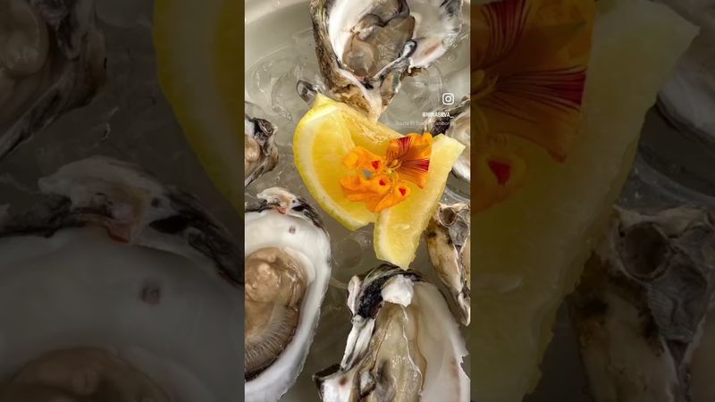 Hello my lovelies, I was gone for a while but I’m back! Missed you all 💋