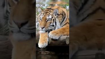 Подарок для подписчиков!❤ #shorts