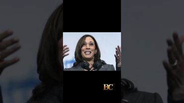 Kamala Harris back in national spotlight as James Comer floats subpoena in Biden ‘cover-up’ probe
