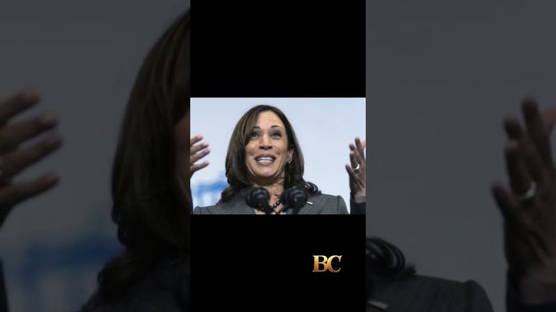 Kamala Harris back in national spotlight as James Comer floats subpoena in Biden ‘cover-up’ probe