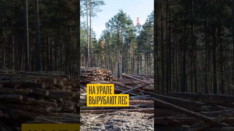 Ты кто такой? Ошалевший чиновник