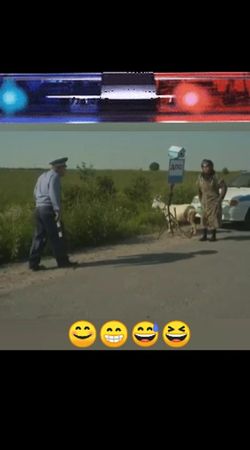 TikTok video #7034480563696176385