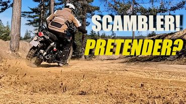 Royal Enfield Bear 650 | The ultimate Scrambler Test