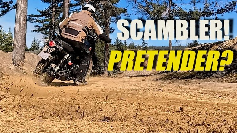 Royal Enfield Bear 650 | The ultimate Scrambler Test