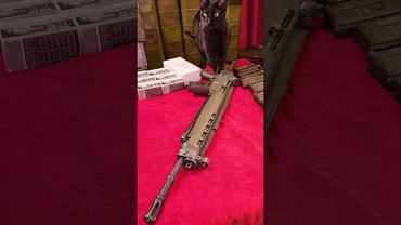 SIG 550-1 SP Pre '89