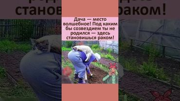 смех #юмор #смех