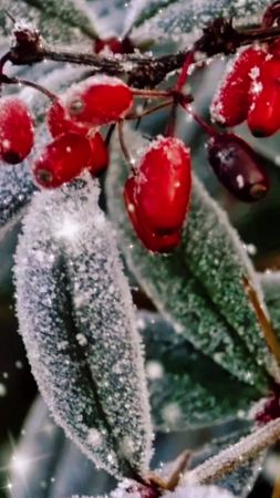 #добрыйдень