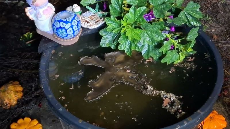 Чистка от краж у нас удачи, стабильности, порчи на дом и финансы, от порч на здоровье и красоту!🤩😘💋🫦