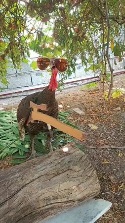 Ashley im new soldier in army trying to be best. #ashley #army #soldi...