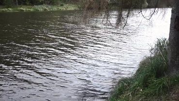 PLEASE. DON'T. GO. #dsbm #nature #blackmetal 