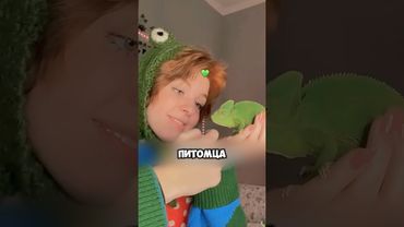 Хамелеон — лучший косметолог 🦎😱 #животные #милыеживотные