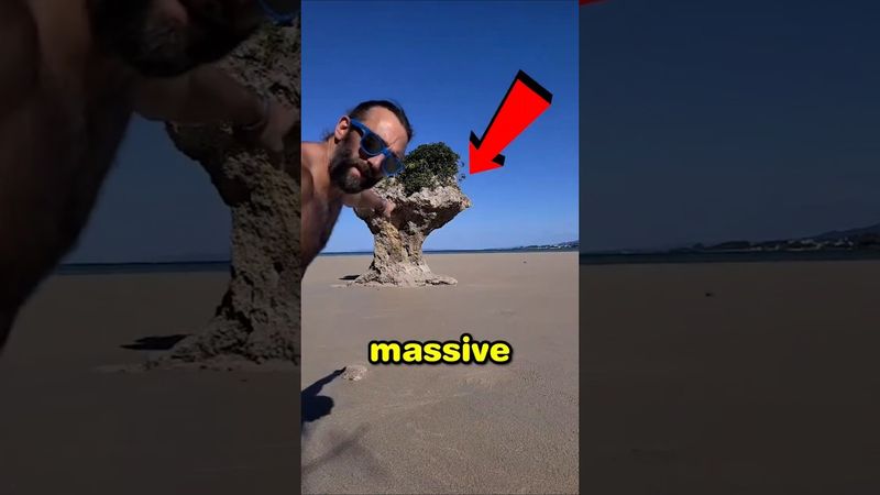 This Is How Quicksand Hides Its Secrets