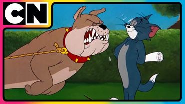 Tom and Jerry 😺🐭| Ultimate Prank Battle! | Cat and Mouse 😍| Funny Cartoon ✨| @cnindia