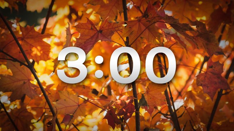 FALL 3 MIN TIMER