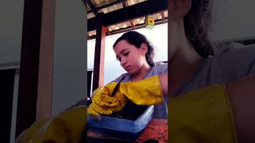 24 de agosto de 2025