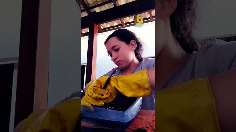 24 de agosto de 2025