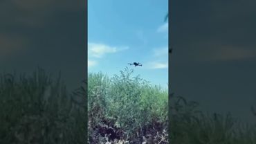 ВСУ сбили палкой российский дрон