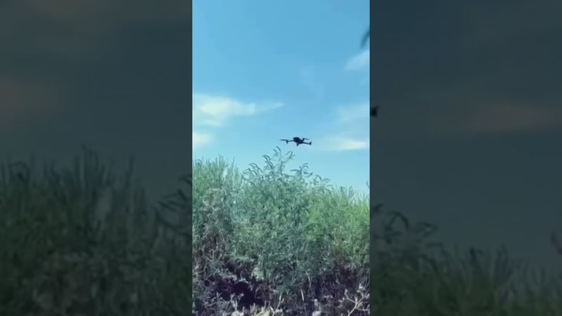 ВСУ сбили палкой российский дрон