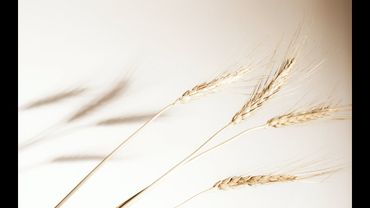 Жкт  2 часть эфира 18.02