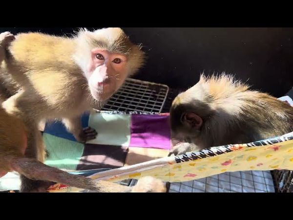 ТРОГАТЕЛЬНО! Лида как будто пытается СКАЗАТЬ Люське, что она СКУЧАЕТ по ней!