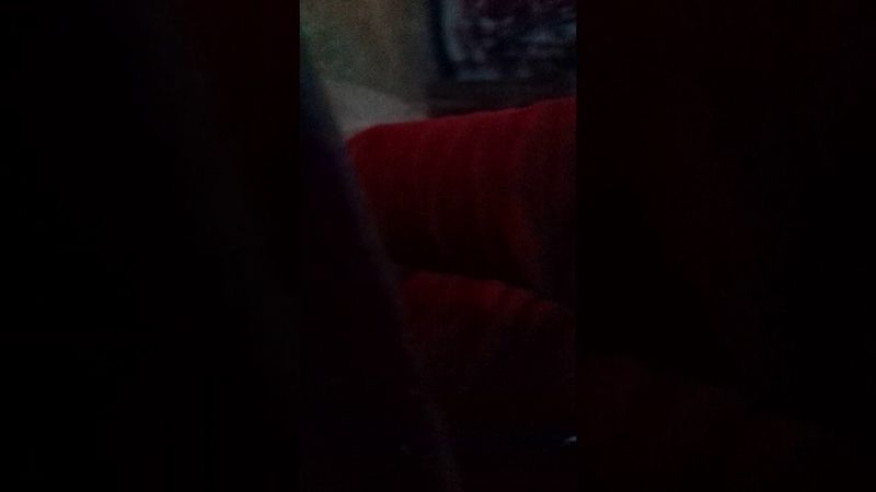 Como matar una cabra rápido y fácil con mi tío srgato gamer