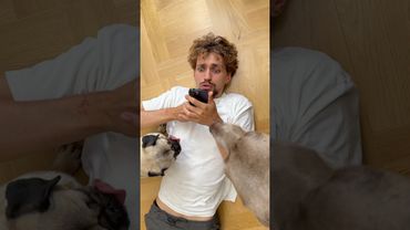 СОБАКИ НАПАЛИ ИЗ-ЗА @qbrix-world НА НИКИТУ 🤯