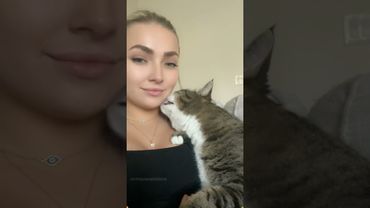 Cats convey the most special "I love you" through their behaviors.#cat #catsoftiktok #catlover