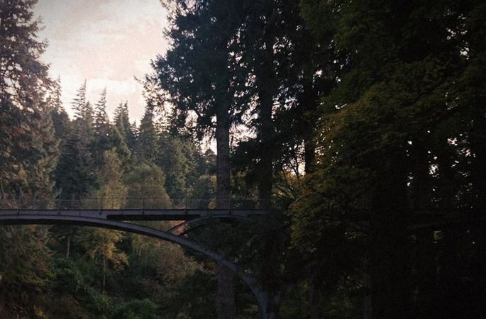 my dream place #pnw #travel #fyp #targetaudience 