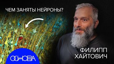 НЕЙРОБИОЛОГ ХАЙТОВИЧ: ГОТОВЬТЕСЬ К ЧИПИРОВАНИЮ МОЗГА