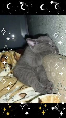 спокойнойночи#добрыхснов#длядушиотдуши#рекомендации#хочувтоп