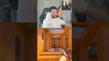 Кот в прайме #standoff2