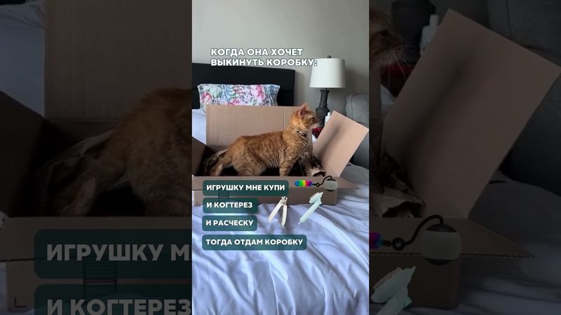 Когтерез Арт на ВБ 147660293; Расческа Арт на ВБ 14733732, Расческа Арт на ВБ 279927644;