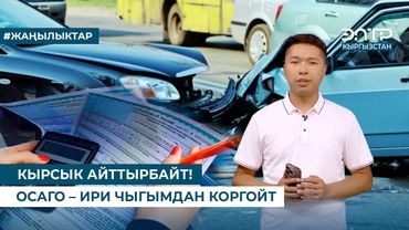 КЫРСЫК АЙТТЫРБАЙТ! ОСАГО – ИРИ ЧЫГЫМДАН КОРГОЙТ