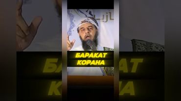 История о силе Корана | Таиб Касири | short