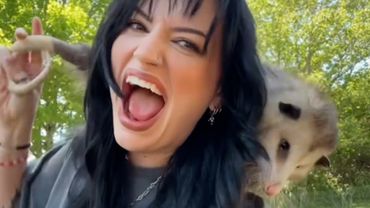 Os melhores erros de todos os tempos com animais de estimação | O melhor do FailArmy