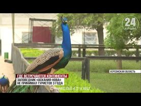 🦙 Зоопарк заповедника «Аскания-Нова» ОТКРЫЛ свои двери!