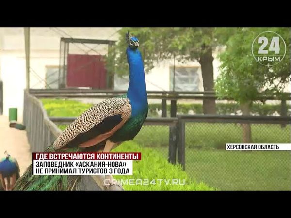 🦙 Зоопарк заповедника «Аскания-Нова» ОТКРЫЛ свои двери!