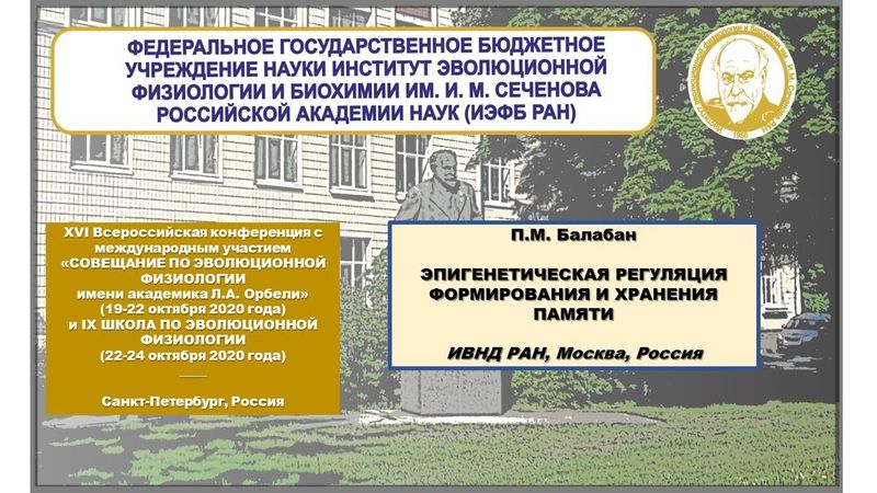 П.М. Балабан ЭПИГЕНЕТИЧЕСКАЯ РЕГУЛЯЦИЯ ФОРМИРОВАНИЯ И ХРАНЕНИЯ ПАМЯТИ