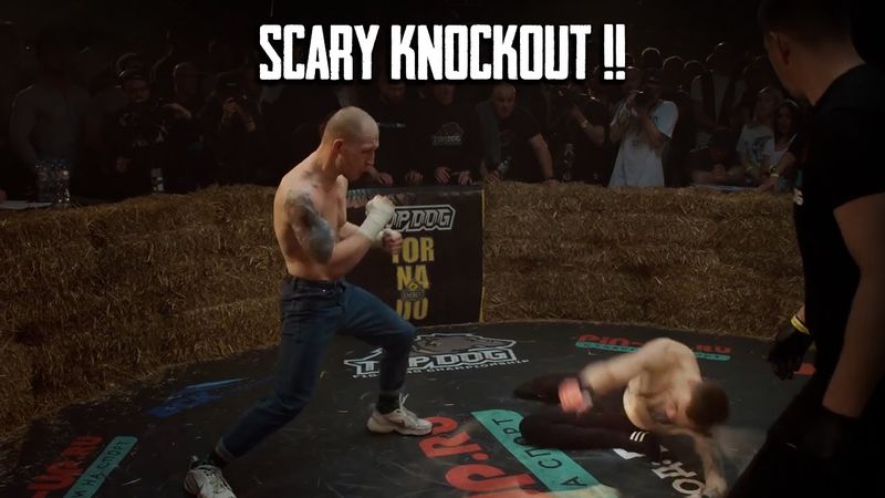 The MOST BRUTAL KO's from Aleksey Melnikov "MELNIK" in Bare-Knuckle Boxing TOP DOG Championship