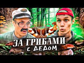 С ДЕДОМ ПО ГРИБЫ
